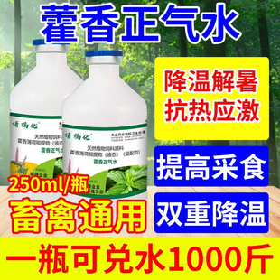 藿香正气水植物口服溶液犬用兽用鸡鸭猪牛羊清热防中暑感m抗应激