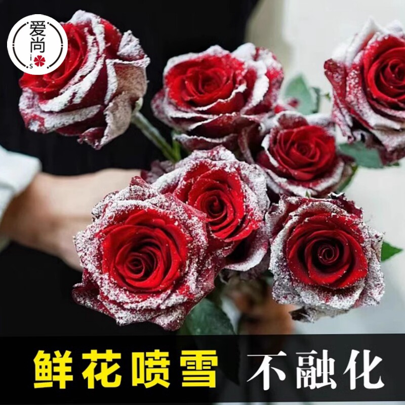 圣诞节喷雪鲜花玫瑰花喷雪喷剂