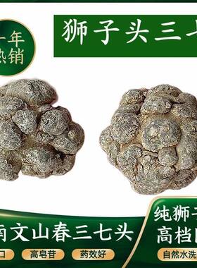 狮子头正品云南文山三七头37田七三七粉官方旗舰店直播打极细粉