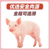 新货火腿猪肉罐头猪肉92%淀粉3.5%火锅泡面三明治即食午