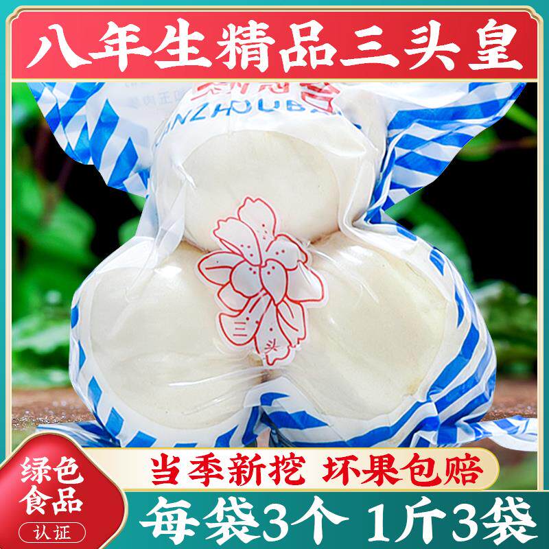 新货兰州鲜甜百合500g新挖百合新鲜食用甘肃非干货生白合干特产级