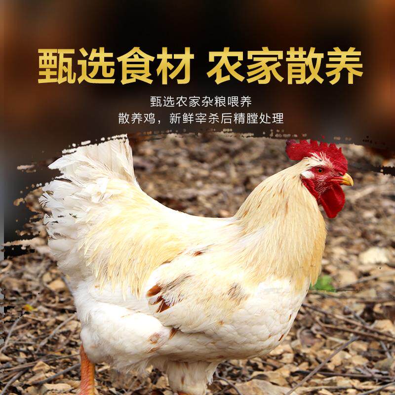 新货德州正宗扒鸡五香烧鸡店道口整只即食熟食烤鸡肉卤味年货礼盒