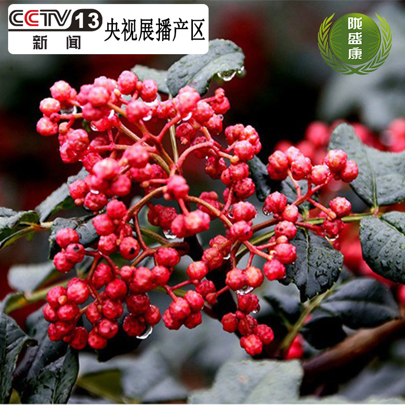 卤味火锅底料武都花椒精品特产500g散装特麻无籽红麻椒卤料麻