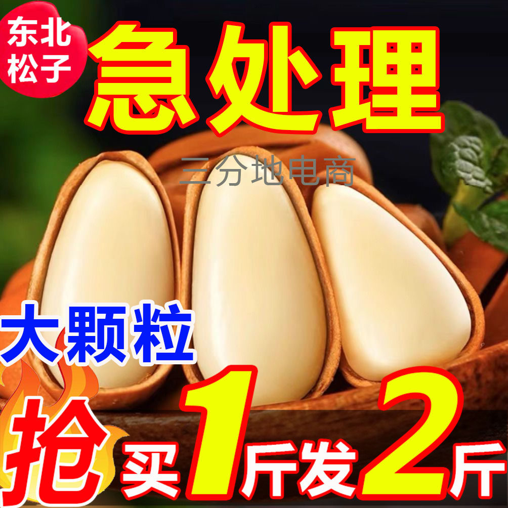 红松松子仁东北松子500g零食坚果干果当季特大手剥开口红松仁
