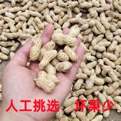 新货河源盐水花生连平农家水煮咸干自然晒干新货白肉客家特产