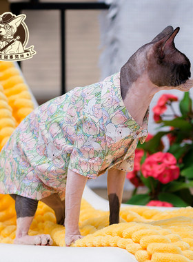 无毛猫事务所斯芬克德文宠物猫咪幼猫衣服纯棉布料衬衫空调衫包邮