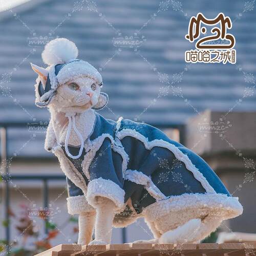 无毛猫保暖加绒露耳朵贝雷帽