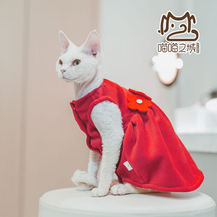 2024年春季新款无毛猫德文宠物小猫咪衣服双面绒公主大红色连衣裙