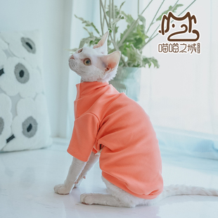 衫 加厚保暖无毛猫纯棉德文宠物猫衣服简约休闲打底长袖 2023年秋季