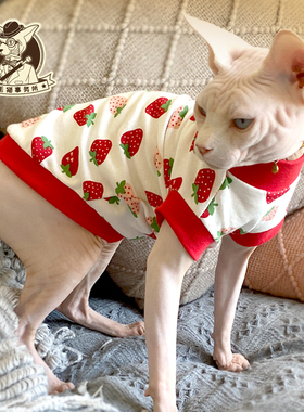 斯芬克斯德文无毛猫衣服夏季红色草莓纯棉透气薄背心猫咪服装包邮