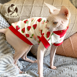 包邮 斯芬克斯德文无毛猫衣服夏季 红色草莓纯棉透气薄背心猫咪服装