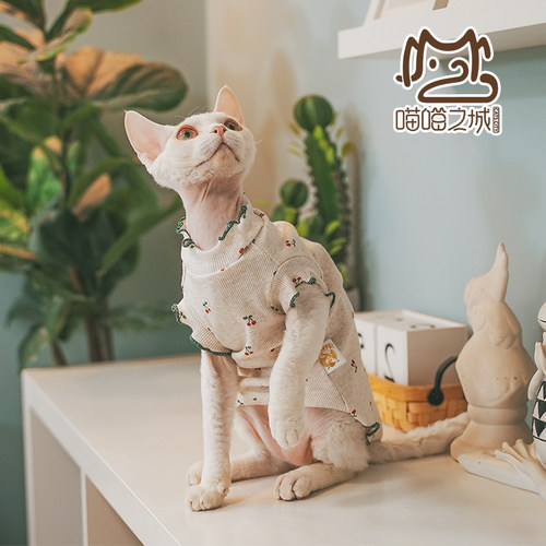 宠物猫棉夏轻薄透气可爱短袖背心