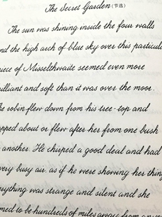 花体英语字帖成人大学生考研英语练字帖圆体漂亮英文字母连笔字