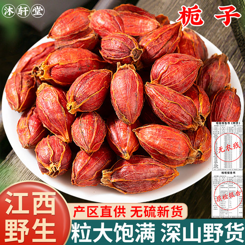 栀子黄栀子中药材中药材泡水喝