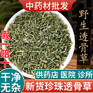正品透骨草500g克野生 可磨透骨草粉中药透骨草 珍珠透骨草中药材