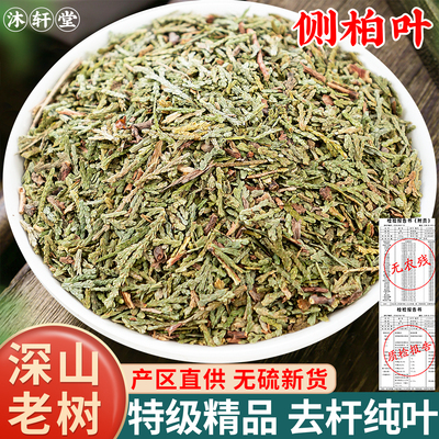 野生侧柏叶中药材500g侧柏叶洗发包侧柏叶粉另售何首乌皂角无患子