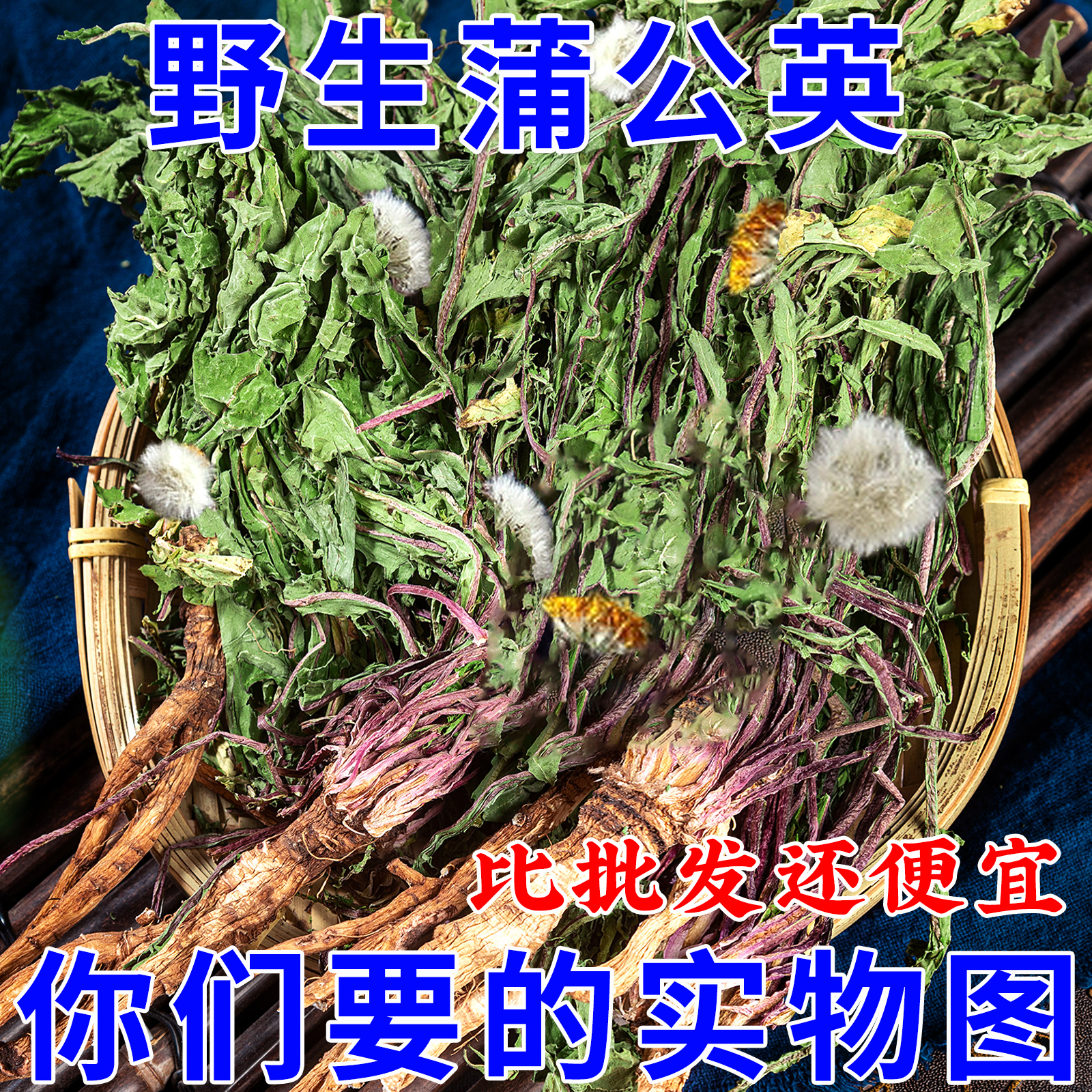 野生蒲公英茶整颗带根泡茶泡水