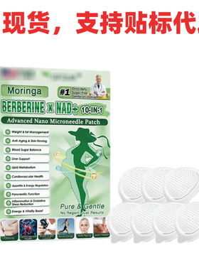 跨境提供护理贴Healrize Moringa 10-in-1 Nano Microdarts Patch