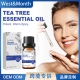 茶树精华油 West Month 修护指甲滋润面部肌肤密发固发多效精油