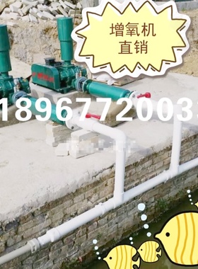 山东三叶罗茨风机水产养殖鼓风机SR175污水处理增氧暴气厂家直销