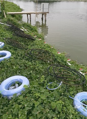 章丘三叶罗茨风机SR65 SR150污水处理 气力输送 厂家直销 SR300