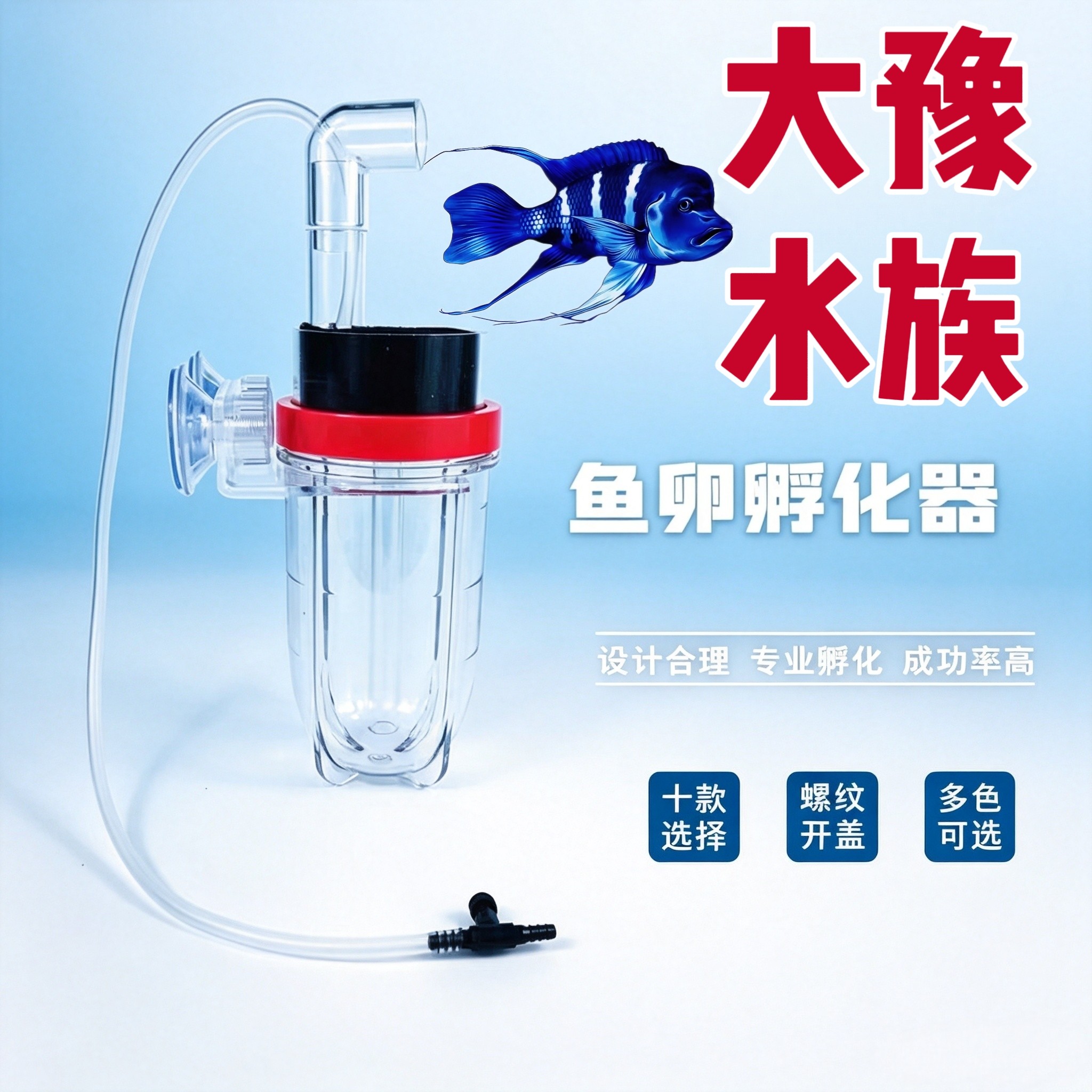 三湖慈鲷鱼孵化器异型鼠鱼隔离盒