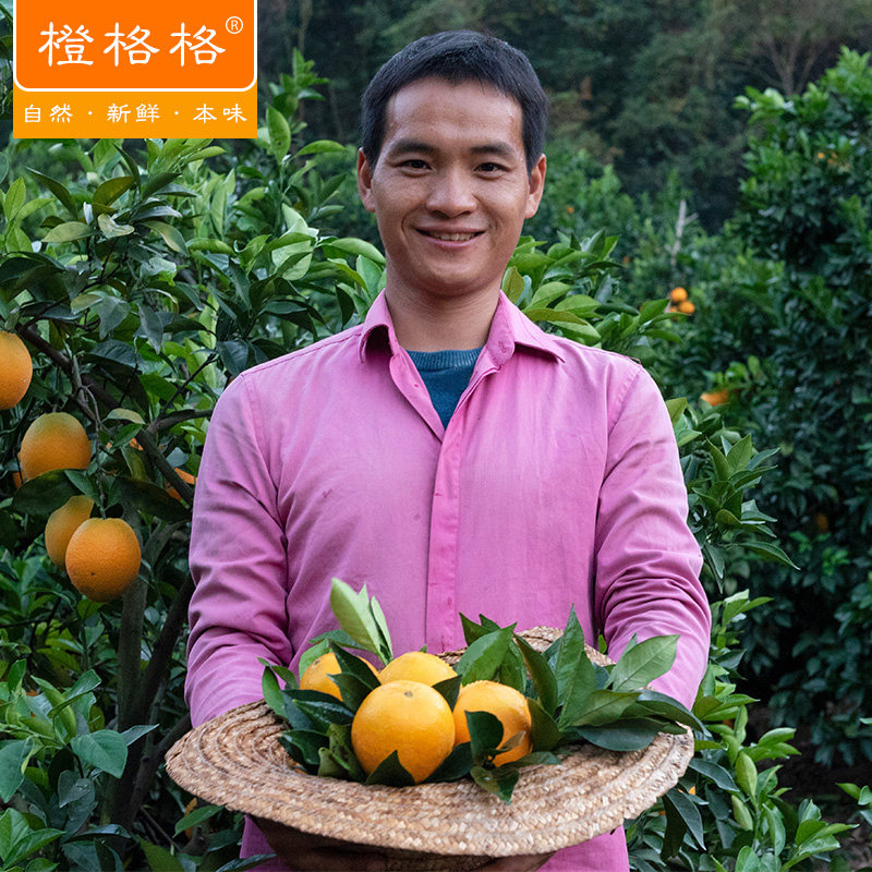 阿jo专用  赣南寻乌鹰嘴桃1橙