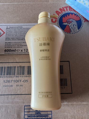 丝蓓绮奢耀焕活护发素750ml限使用日期29年1月