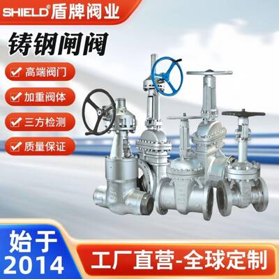 铸钢闸阀DN50~DN1500硬密封双向零泄漏闸阀一体式后阀座阀门