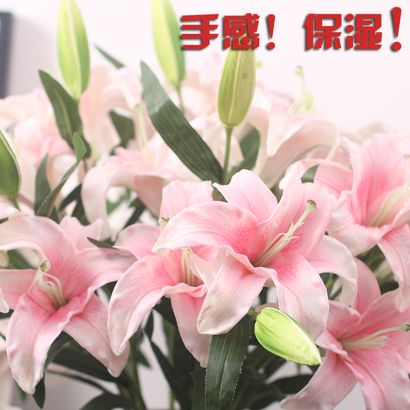高仿真手感百合花价格 高仿真手感百合花图片 星期三 高仿真手感百合花价格 高仿真手感百合花图片 星期三