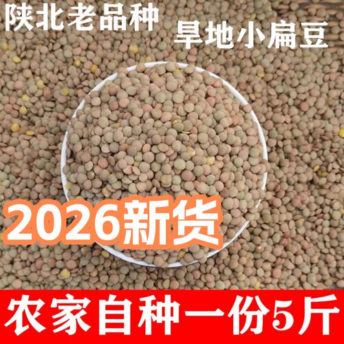 5斤小扁豆陕北特产农家自产新货旱地山地扁豆子粗粮兵豆五谷杂粮