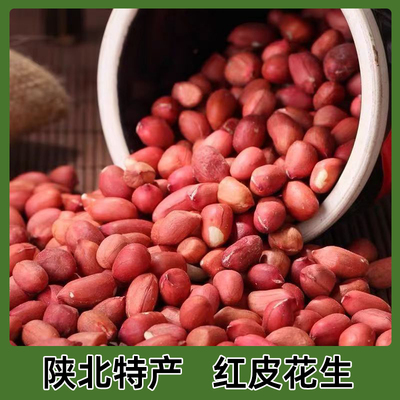 陕北四粒红皮花生米2024年新货