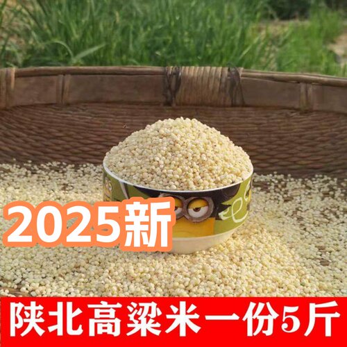 陕北新货高粱米5斤农家自陕西