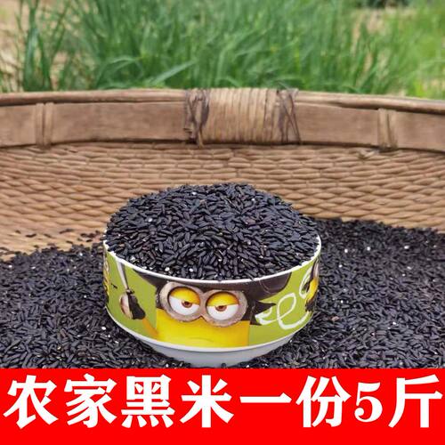 陕西农家自产黑米洋县血糯米食用