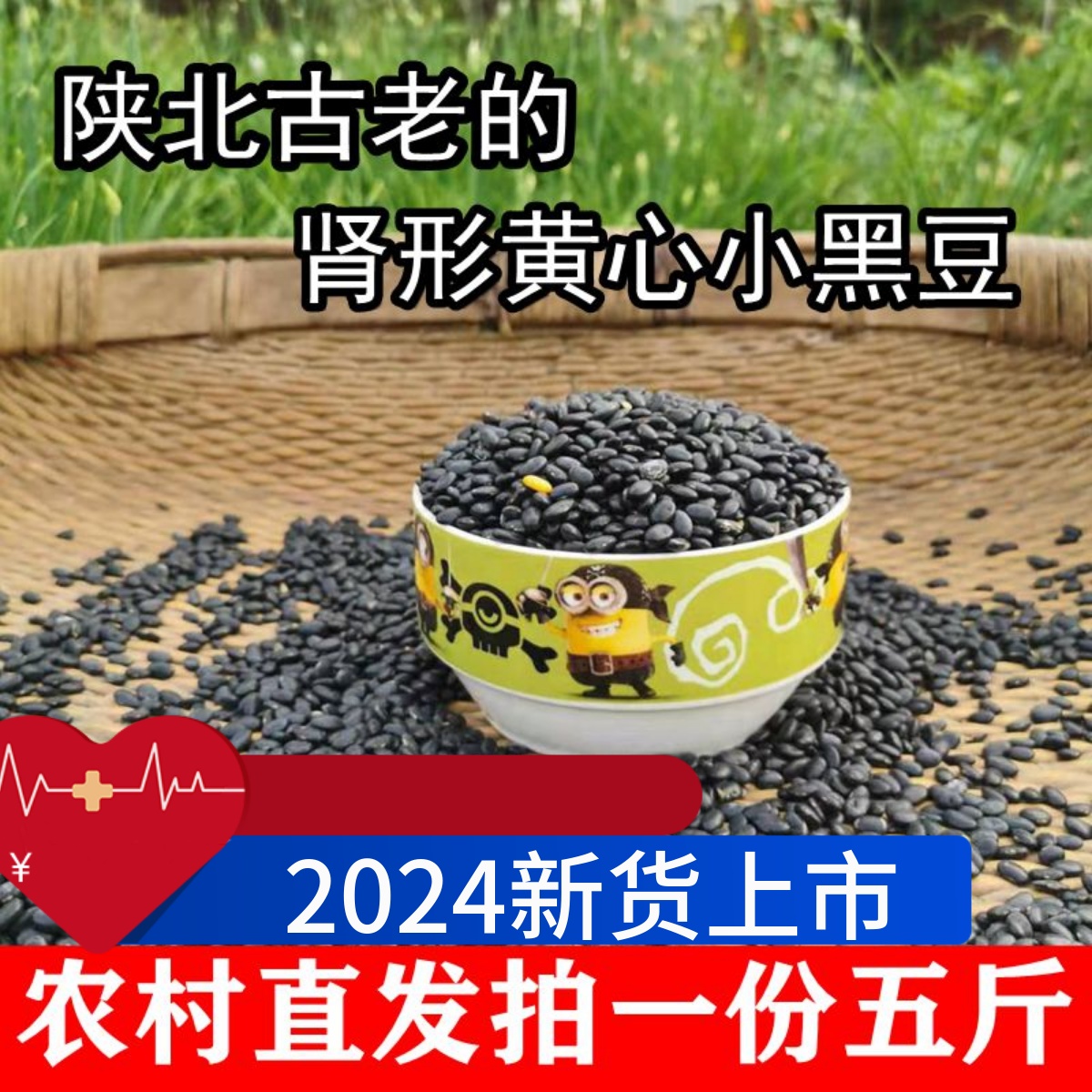 2024农家自种肾形黄心小黑豆5斤