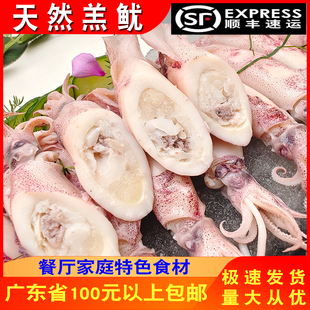 精选深海鲜鱿鱼筒全籽籽乌满籽海兔子熟冻笔管鱼天然羔鱿400g商用