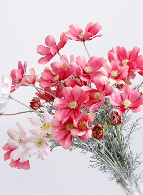 木子西年仿真波斯菊假花艺