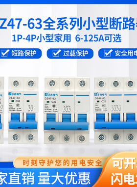 小型断路器DZ47-63/DZ47-125/1P2P3P4P家用空气空开6~125A总闸C45