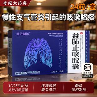 红云制药益肺止咳胶囊24粒养阴润肺止咳祛痰慢性支气管炎咳嗽药