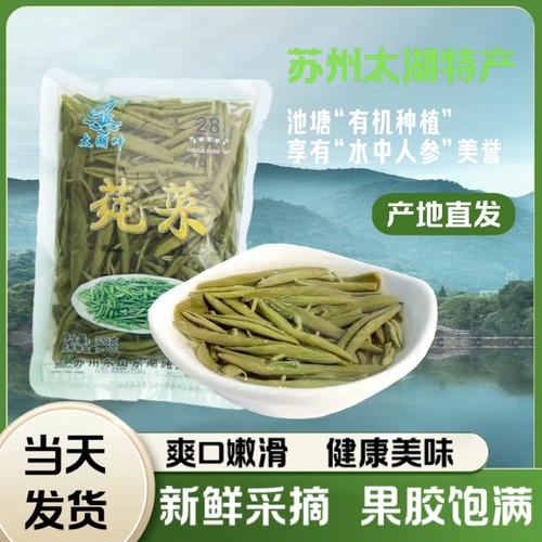 苏州太湖新鲜莼菜320克嫩芽野菜PK西湖莼菜马蹄菜利川纯菜食用
