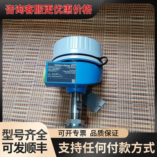 议价E+H热电阻TR62，TR62-1BED3XC21，实物如图可维修