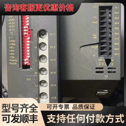 议价6EP1931-2FC42电源模块，，可维修