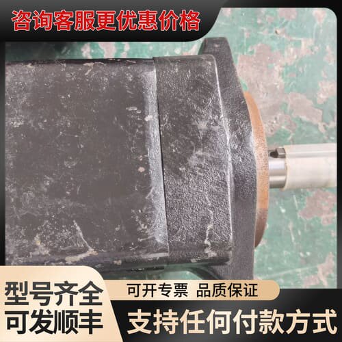 议价丹尼逊DESON叶片泵T6D 031 1R01 B1可维修