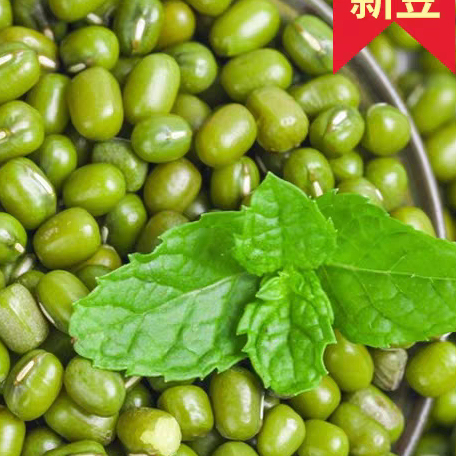 农家新鲜绿豆 去皮精品小绿豆 发芽解暑 绿豆汤浆
