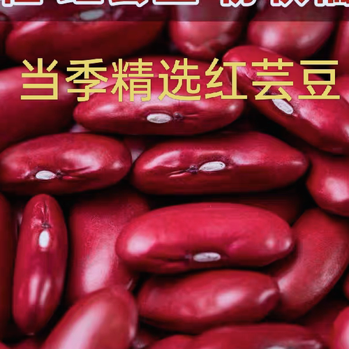 红豆农家自种山西特产红豆红芸豆紫花豆五谷杂粮东北红豆红腰豆