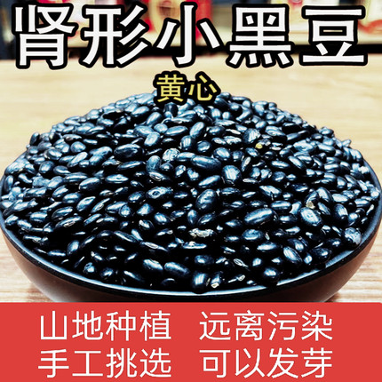农家黄心肾形小黑豆农家自种纯天然打豆浆专用优黄芯杂粮散装1斤