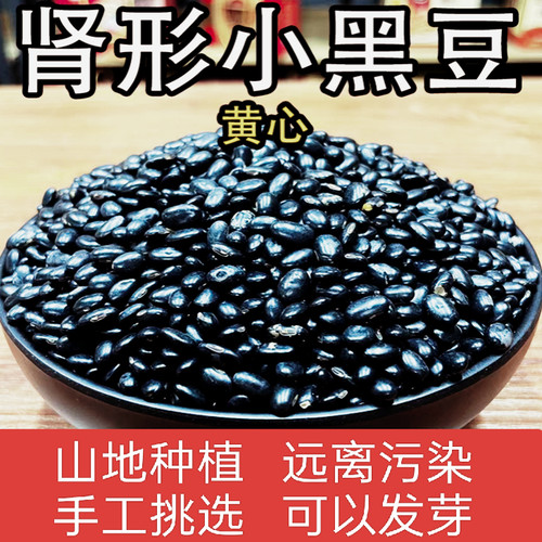 农家黄心肾形小黑豆农家自种