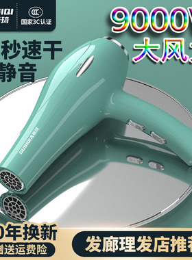 电吹风机9000W家用大功率5000W发廊理发店专用冷热风3800静音护发