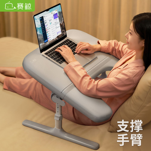 赛鲸26年新品KB1灰色带扶手支撑