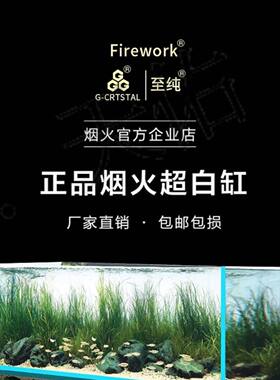 金晶五线超白玻璃缸客厅龟缸